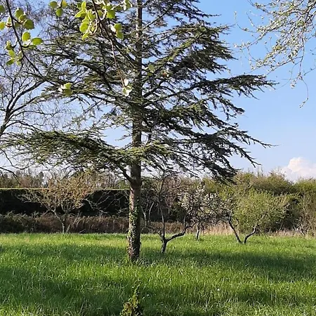 Le Mesangite Saint-Germain-sur-Ay